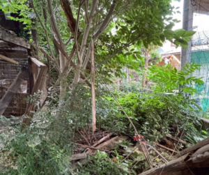 解体工事 解体業者 東京